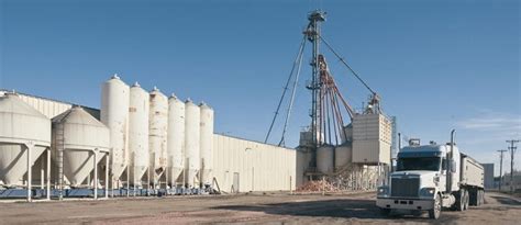 mega feed head office|Our Company .